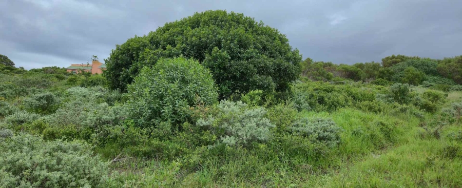 0 Bedroom Property for Sale in Kleinbaai Western Cape